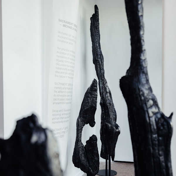 SACRAMENT SERIES by Michaela Van Der LAAN