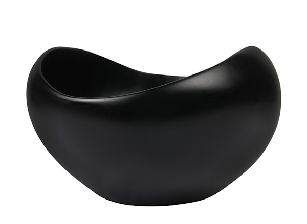 BEETLE BOWL by Dinosaur Designs