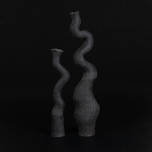ASYMMETRY PAIR II by Kerryn Levy