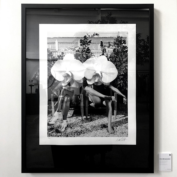 LADIES IN WAITING by Dina Broadhurst