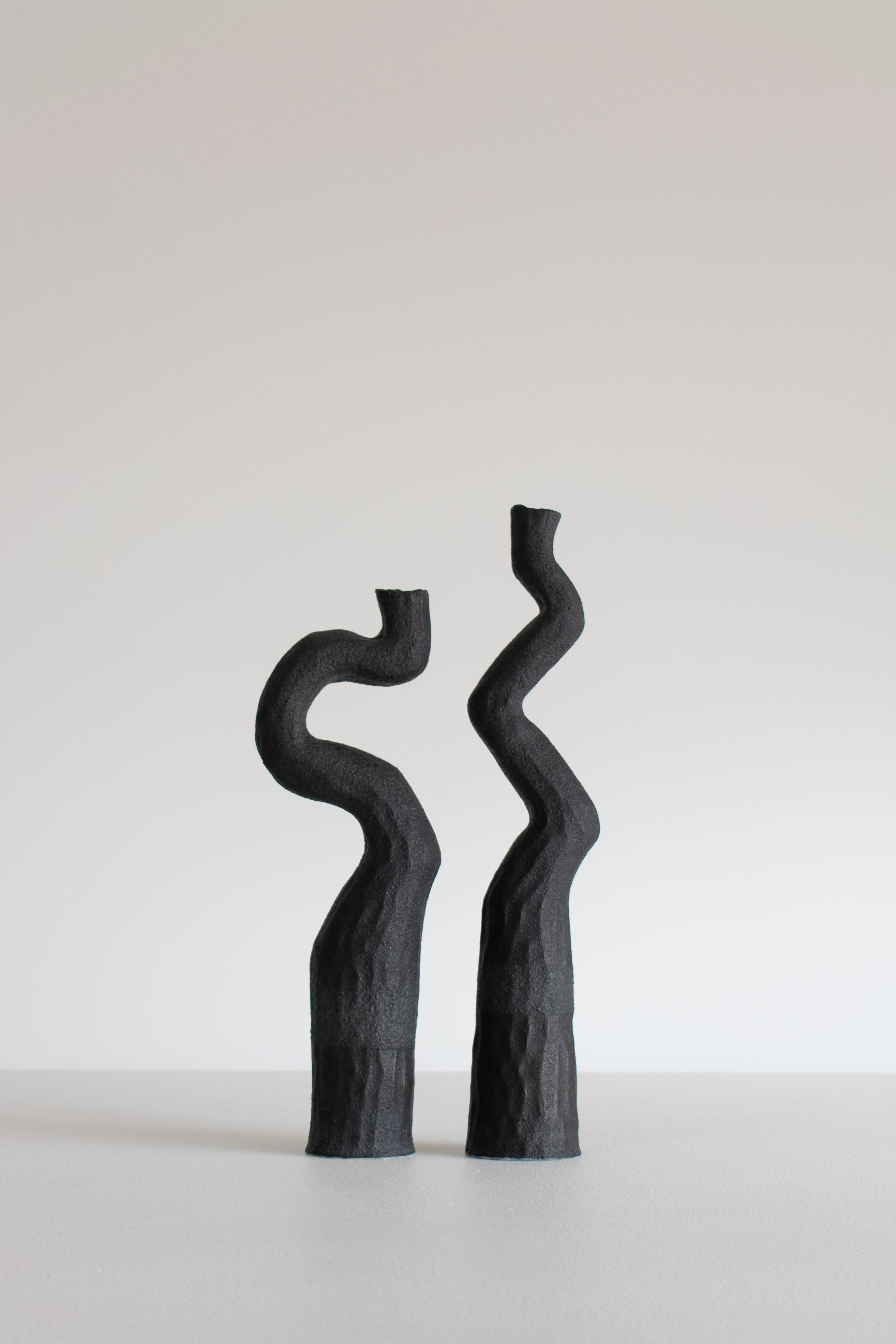 Asymmetry Pair by Kerryn Levy