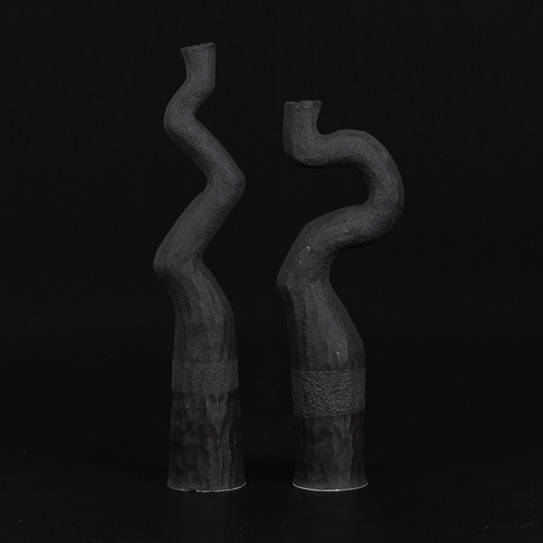 ASYMMETRY PAIR I by Kerryn Levy