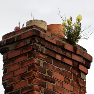 How to save money on your energy bills when moving home
