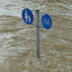 How to fight climate change from home image of road sign in flood waters