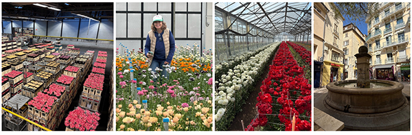 BSCCutFlower-Blog-Oct7-EuroTrip