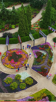 Ball Seed Breeder Partners garden view