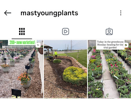 Mast Young Plants IG Reel