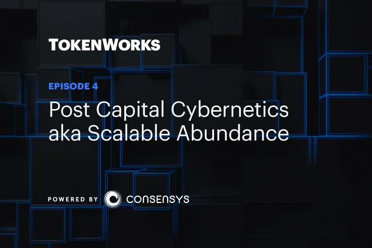 Post Capital Cybernetics AKA Scalable Abundance