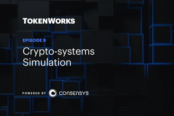 Cryptosystems Simulation