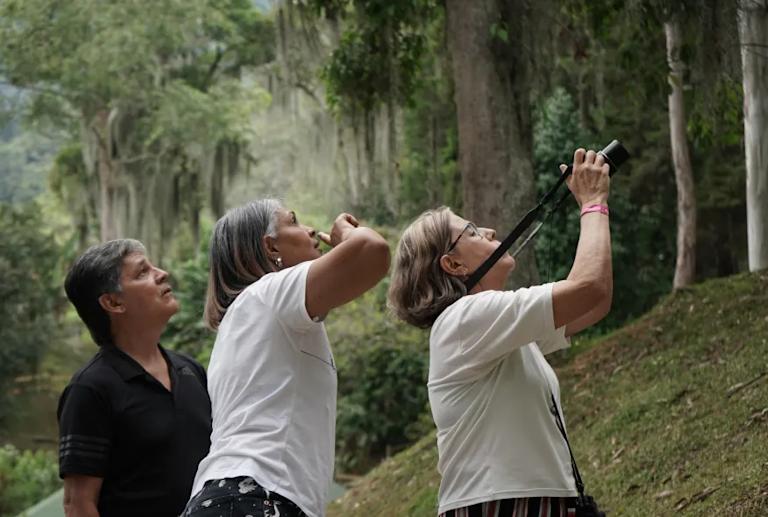 Grupo de señoras observando naturaleza