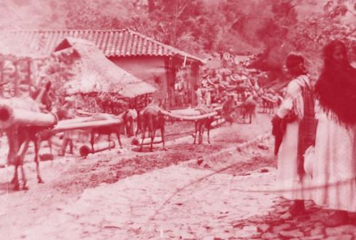 Valores, cultura e identidad