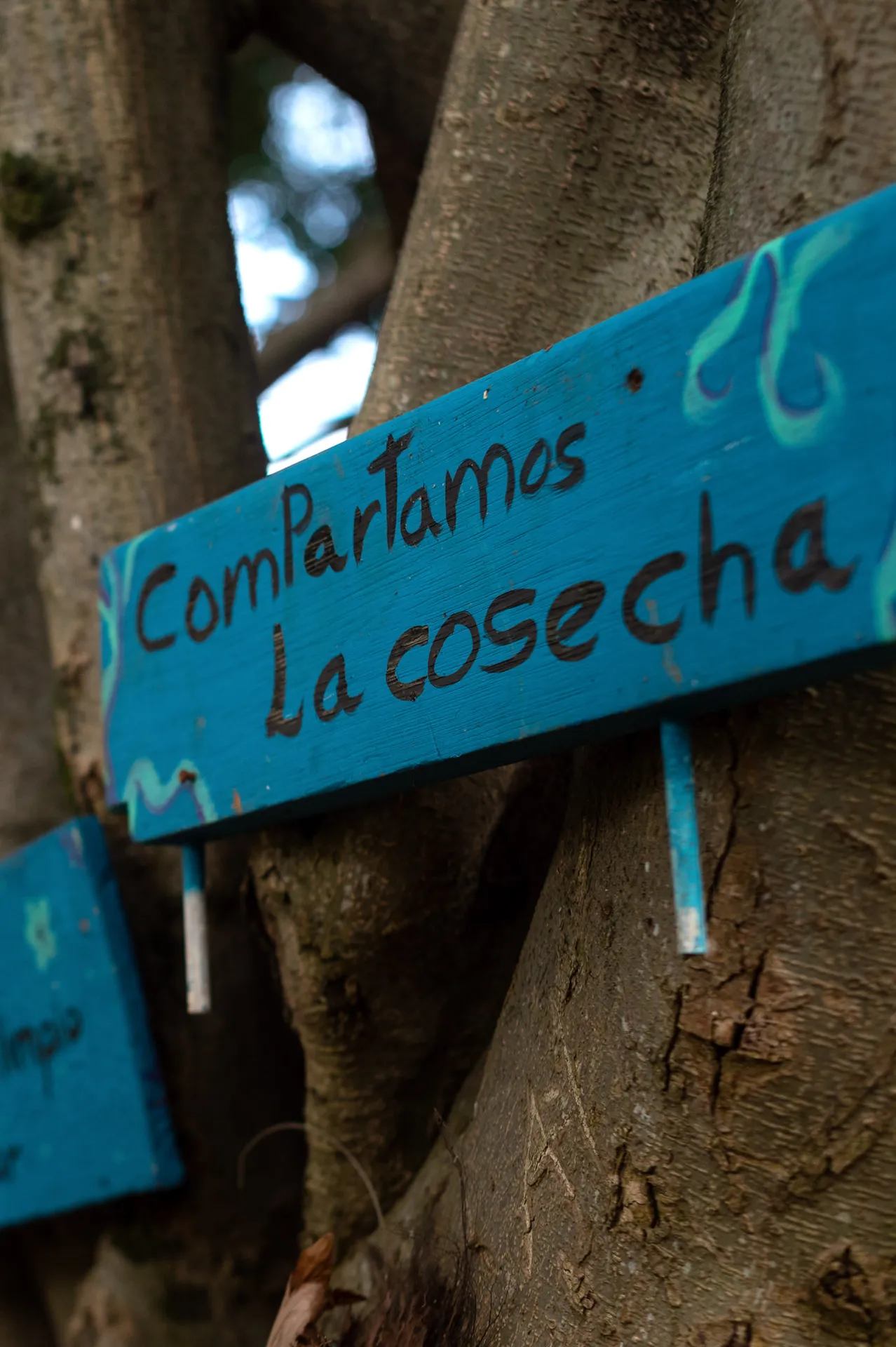 22-elogio-a-los-que-se-rebelan-cronicas-del-barrio-federico-ruiz