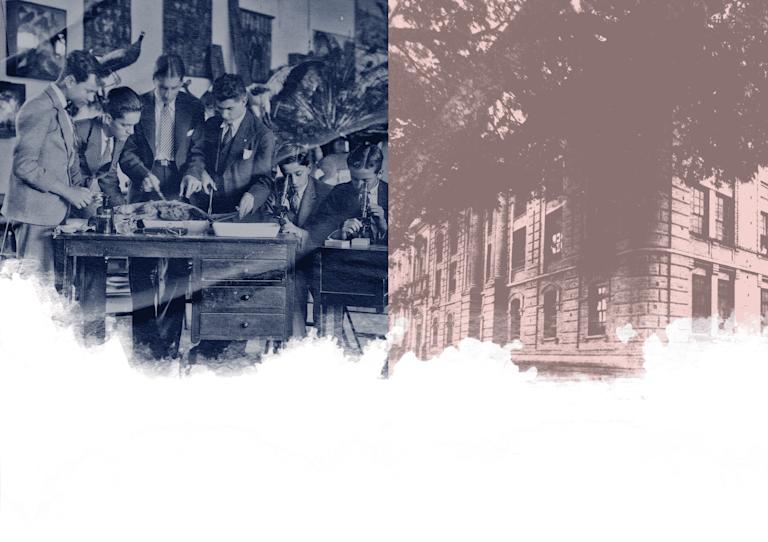 Imagen cabecera claustro