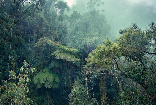 Proyectos en Antioquia