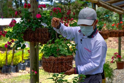 ¡Descubre el vivero!