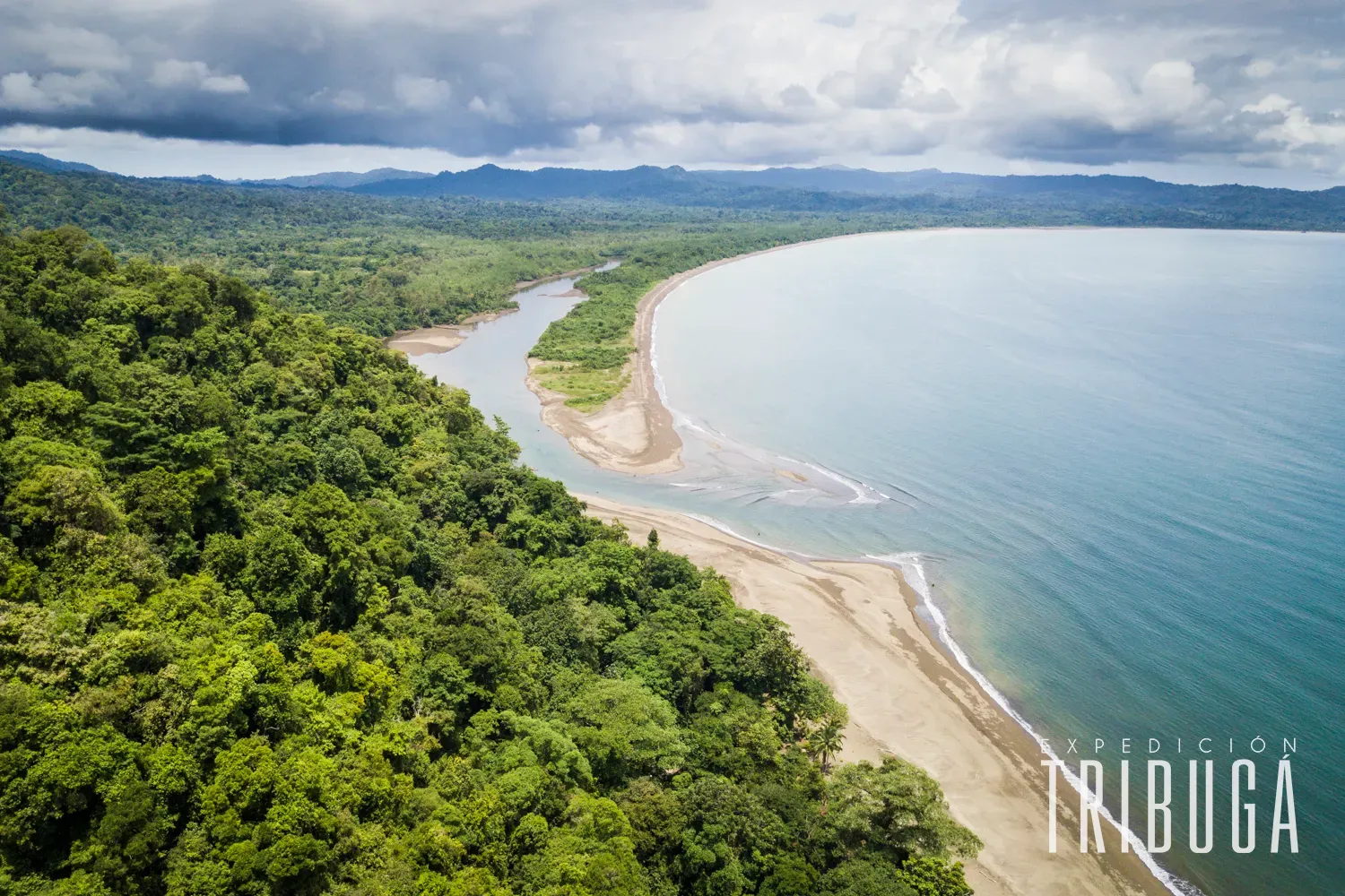 golfo-de-tribuga