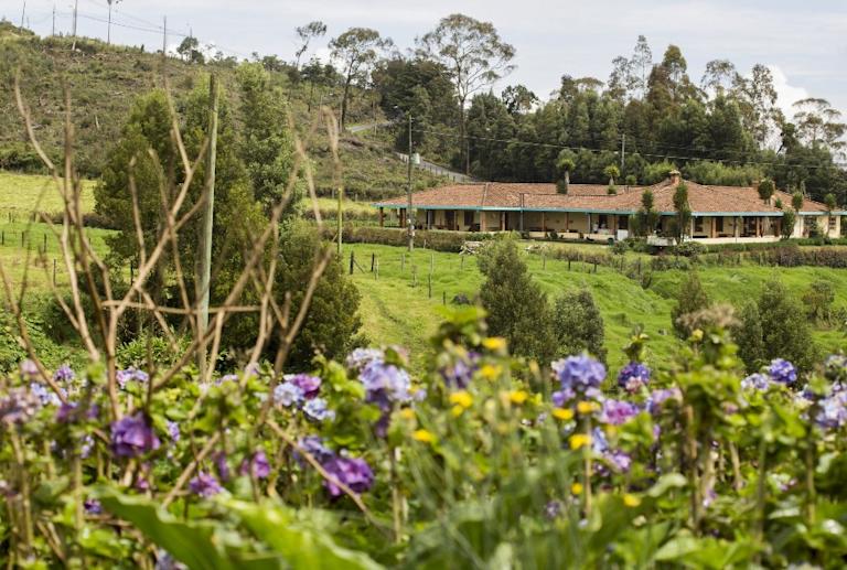 wellness-santa-elena