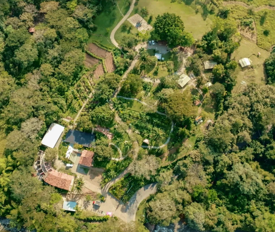 Benefit illustration