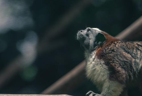 Parque de la Conservación