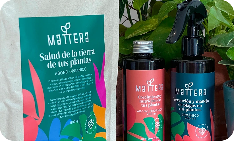 Mattera