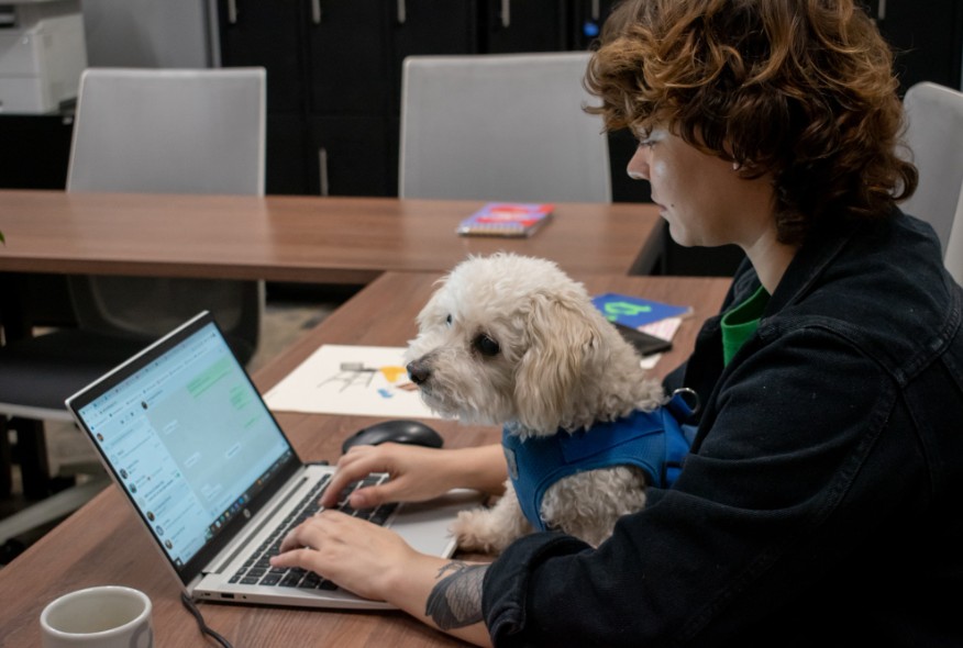 Marca empleadora mascotas