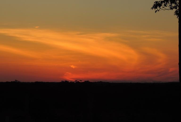 Foto 2 > Galería Caño Cristales
