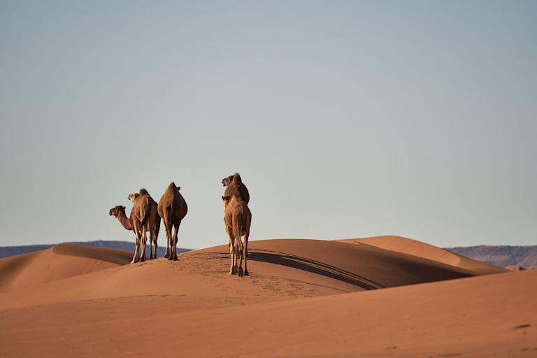 Imagen 5 Marruecos