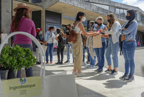 Programas y servicios