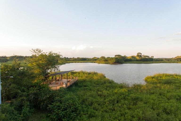 Parque Comfama Humedal La Samaria