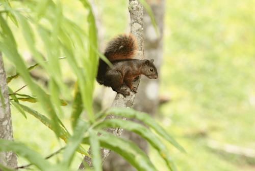 #DíaDeLaMadreTierra