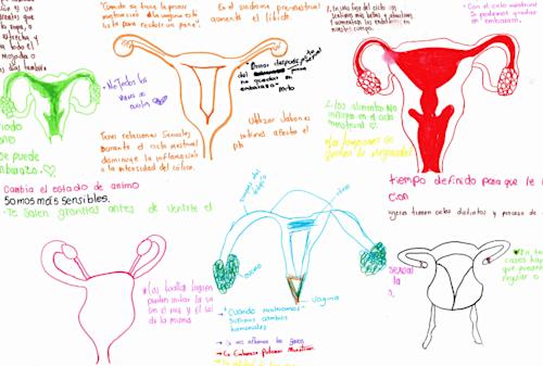 Programa de Menstruación consciente
