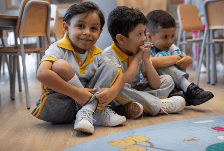 desarrollo-infantil-y-entorno-institucional