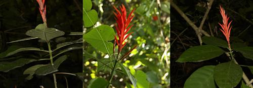 Así fue el proceso para encontrarla