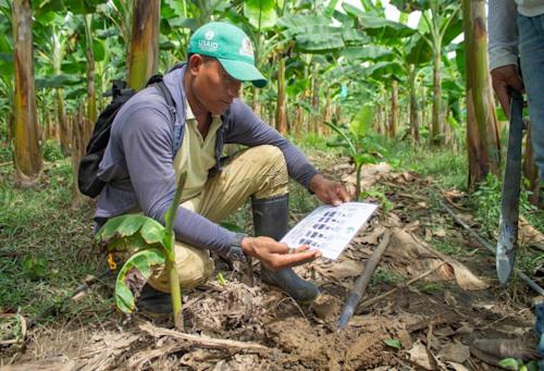 Plataforma Agro