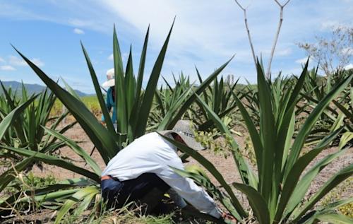 Créditos con propósito