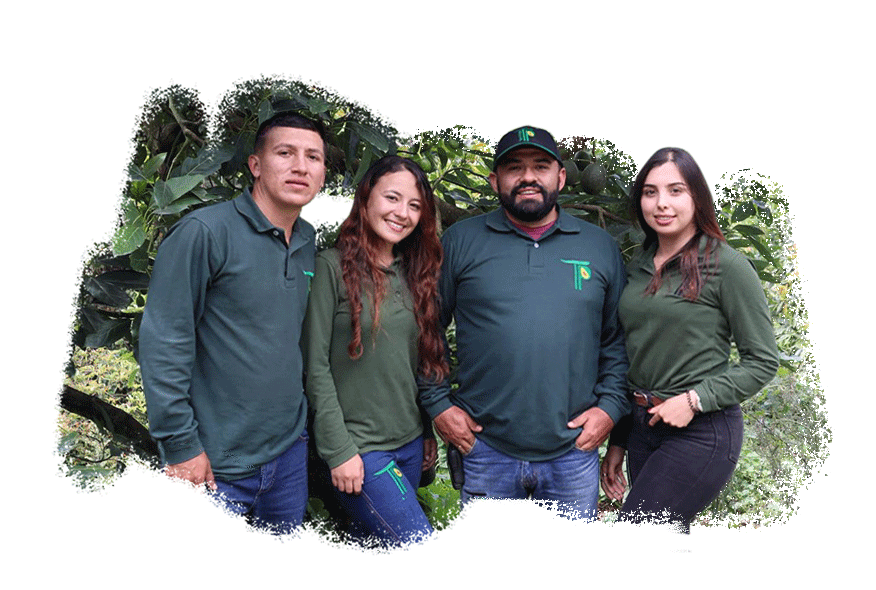 Estas empresas del agro se certificaron en sostenibilidad