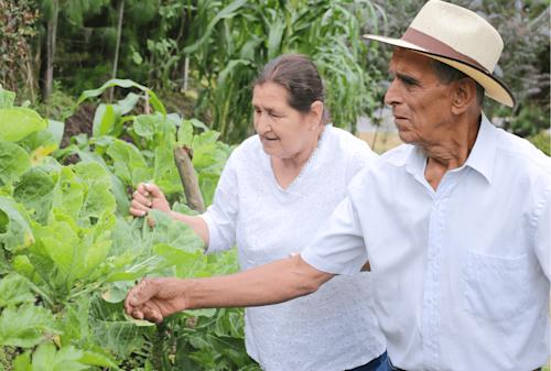 Historia de vida en comunidad