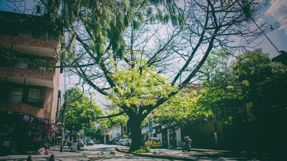 Juan-jose-hoyos-cronicas-del-barrio-aranjuez-2