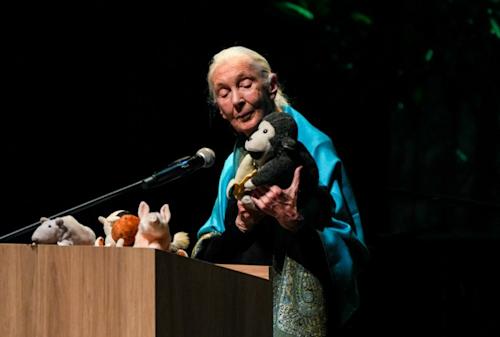 Razones para la esperanza