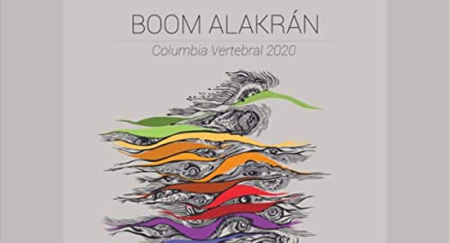 medellin_a_solas_boom_alakrán