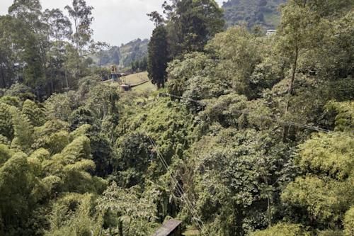 Biodiversidad y riqueza