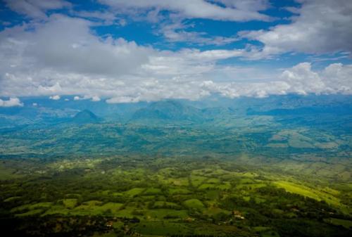 Biosuroeste, una oportunidad para soñar volar