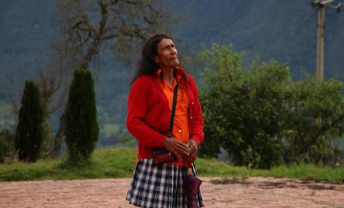 Cinema Comfama Digital