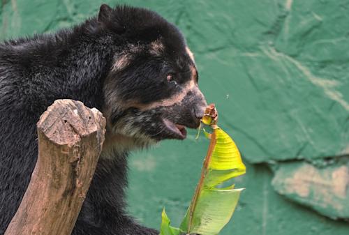 Experiencias Comfama