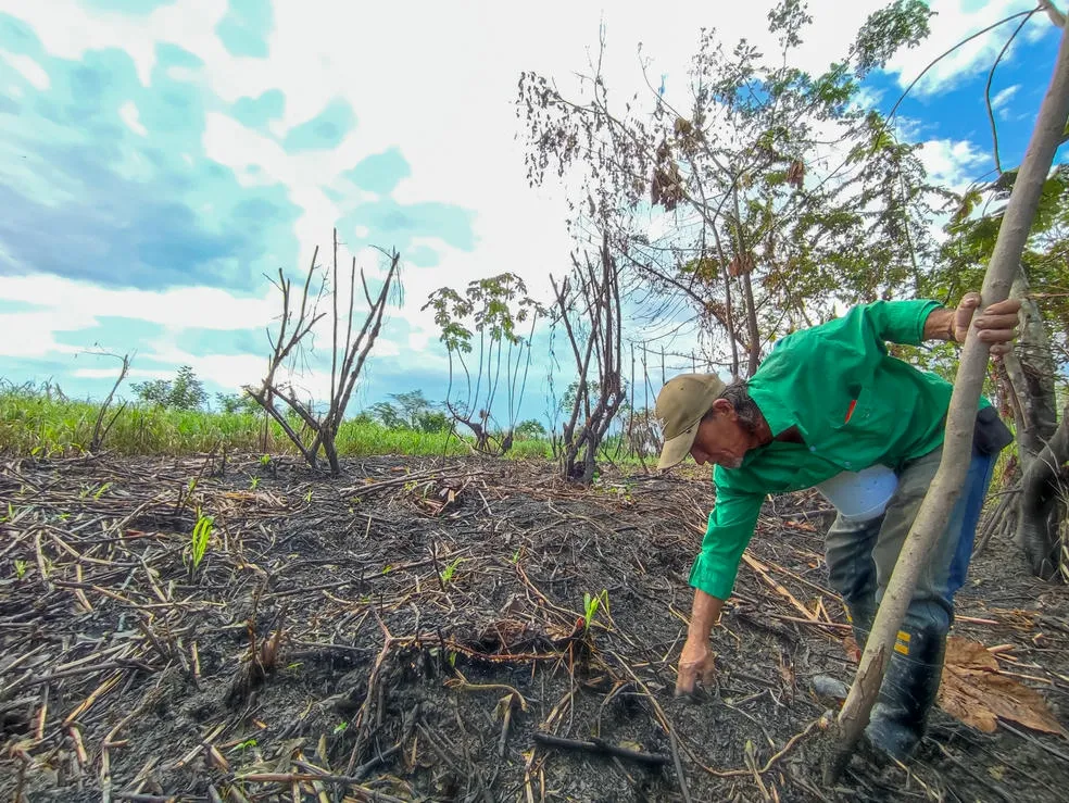 17-edgar-maldonado-pampirucho-cronicas-del-barrio-diego-zapata