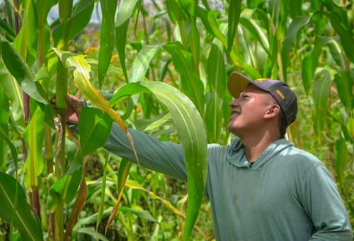 Plataforma Agro