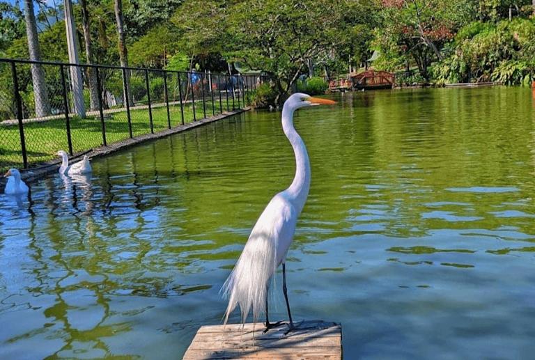Parque Copacabana