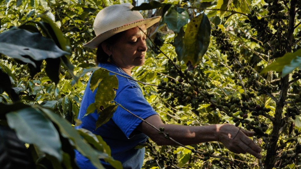 Margarita-fernández-cronicas-de-la-region-tamesis-2+-