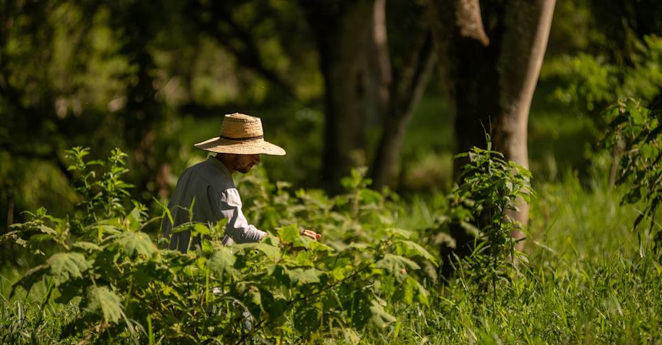 banner conferencia.jpg
