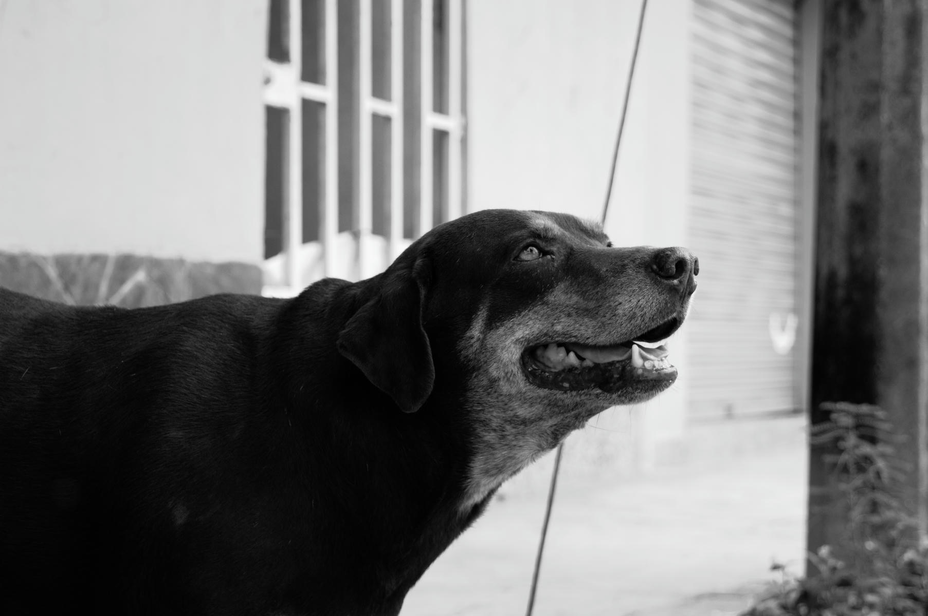 foto3-byron-cronicas-del-barrio-juan-jose-henao